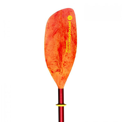 Perception: Universal Paddle