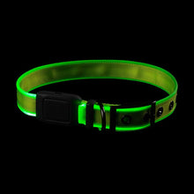 Load image into Gallery viewer, Nite Ize: NiteDog Rechargeable LED Dog Collar