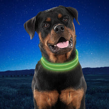 Load image into Gallery viewer, Nite Ize: NiteDog Rechargeable LED Dog Collar
