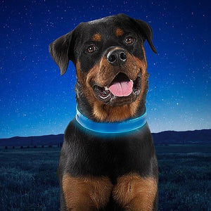 Nite Ize: NiteDog Rechargeable LED Dog Collar
